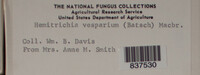 Image Associated With the Occurence